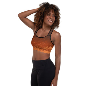 Ombre Brown & Rust | Women's Fine Art Padded Sports Bra