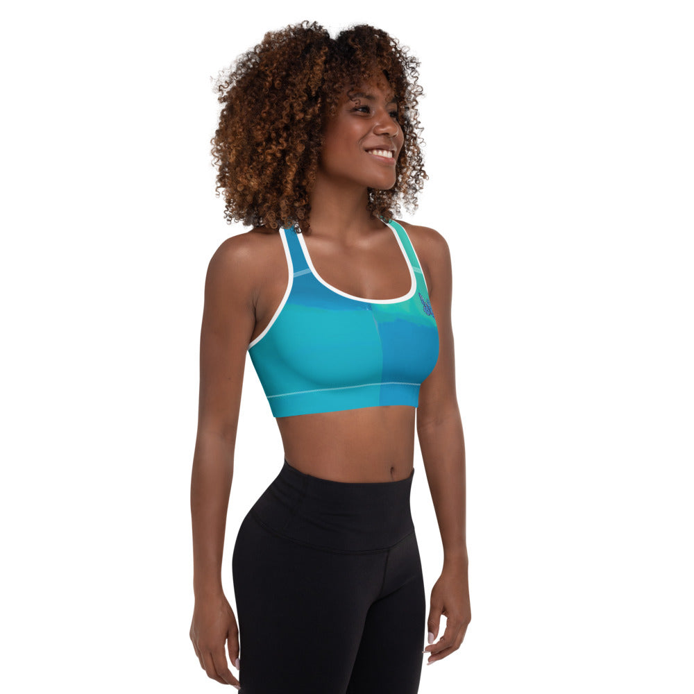 Color Block Green and Blue Tidewell | Women's Fine Art Padded Sports Bra